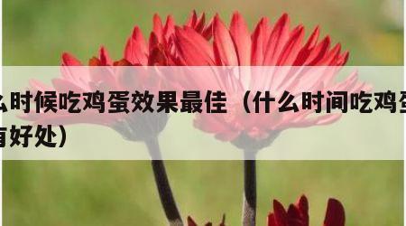 什么时候吃鸡蛋效果最佳（什么时间吃鸡蛋对人有好处）