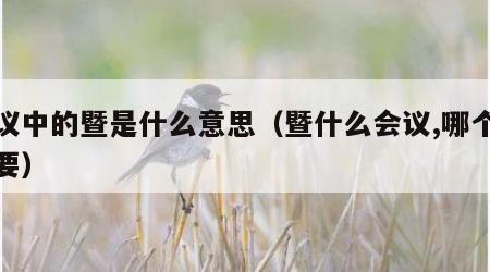 会议中的暨是什么意思(暨什么会议,哪个更重要)