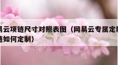 网易云项链尺寸对照表图（网易云专属定制的项链如何定制）