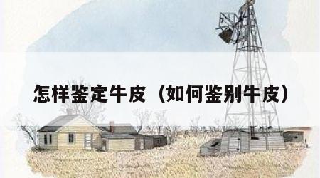 怎样鉴定牛皮（如何鉴别牛皮）