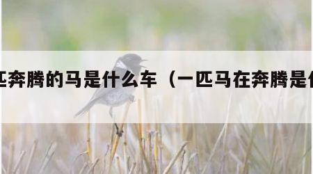 一匹奔腾的马是什么车（一匹马在奔腾是什么车）