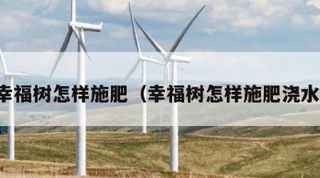 幸福树怎样施肥（幸福树怎样施肥浇水）