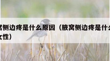 腋窝侧边疼是什么原因（腋窝侧边疼是什么原因女性）