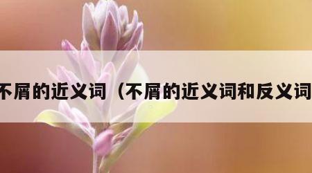 不屑的近义词（不屑的近义词和反义词）