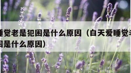 爱睡觉老是犯困是什么原因（白天爱睡觉老是犯困是什么原因）