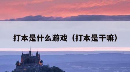 打本是什么游戏（打本是干嘛）
