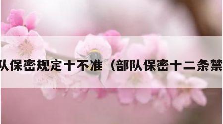 部队保密规定十不准（部队保密十二条禁令）