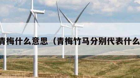 青梅什么意思（青梅竹马分别代表什么）