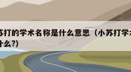 小苏打的学术名称是什么意思（小苏打学术名叫什么?）