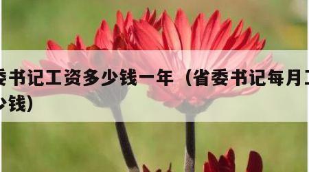 省委书记工资多少钱一年（省委书记每月工资多少钱）