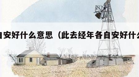 各自安好什么意思（此去经年各自安好什么意思）