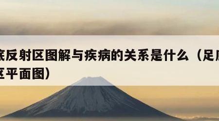 足底反射区图解与疾病的关系是什么（足底反射区平面图）