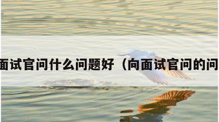 向面试官问什么问题好（向面试官问的问题）