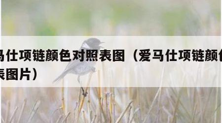 爱马仕项链颜色对照表图（爱马仕项链颜色对照表图片）