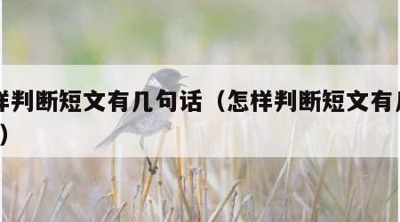 怎样判断短文有几句话（怎样判断短文有几句话?）