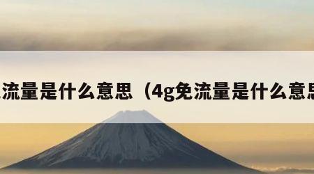 免流量是什么意思（4g免流量是什么意思）