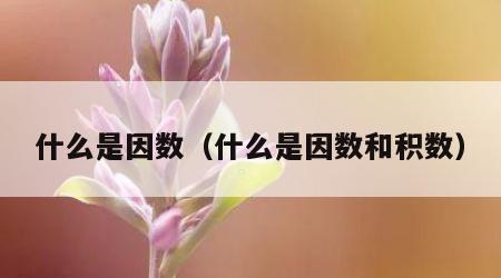 什么是因数（什么是因数和积数）