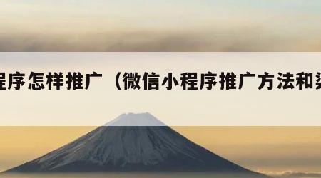 小程序怎样推广（微信小程序推广方法和渠道）