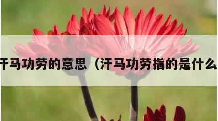 汗马功劳的意思（汗马功劳指的是什么）