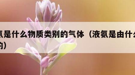 液氨是什么物质类别的气体（液氨是由什么构成的）