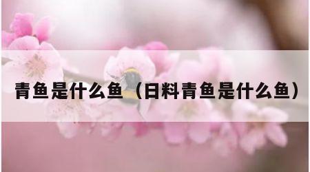 青鱼是什么鱼（日料青鱼是什么鱼）