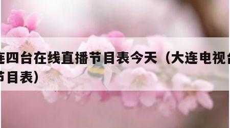 大连四台在线直播节目表今天（大连电视台四套节目表）