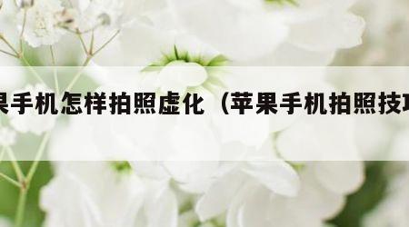 苹果手机怎样拍照虚化（苹果手机拍照技巧虚化）