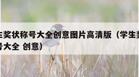 学生奖状称号大全创意图片高清版（学生奖状称号大全 创意）