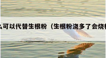 什么可以代替生根粉（生根粉浇多了会烧根吗）