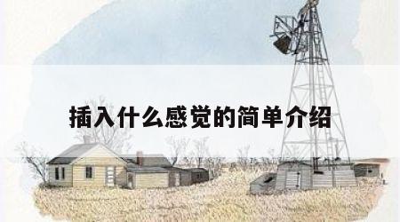 插入什么感觉的简单介绍