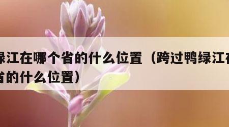 鸭绿江在哪个省的什么位置（跨过鸭绿江在哪个省的什么位置）