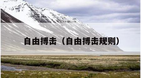 自由搏击(自由搏击规则)