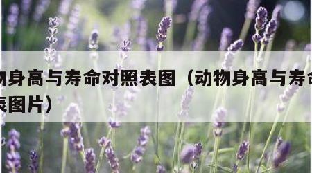 动物身高与寿命对照表图（动物身高与寿命对照表图片）