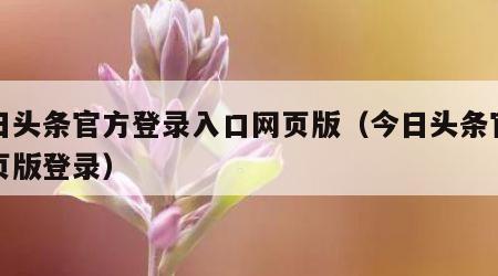 今日头条官方登录入口网页版（今日头条官网网页版登录）