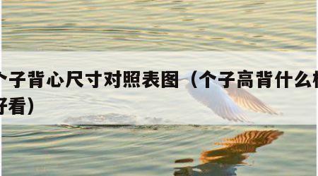 高个子背心尺寸对照表图（个子高背什么样的包好看）