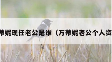 万蒂妮现任老公是谁（万蒂妮老公个人资料）