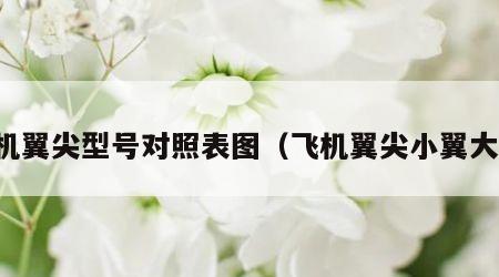 飞机翼尖型号对照表图（飞机翼尖小翼大全）