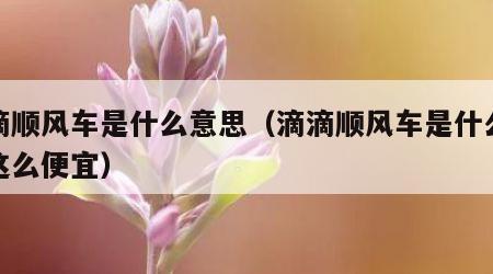 滴滴顺风车是什么意思（滴滴顺风车是什么意思这么便宜）