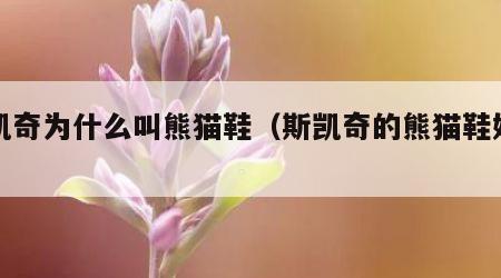 斯凯奇为什么叫熊猫鞋（斯凯奇的熊猫鞋好吗）