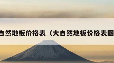 大自然地板价格表（大自然地板价格表图片）