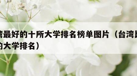 台湾最好的十所大学排名榜单图片（台湾比较好的大学排名）