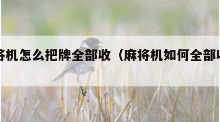 麻将机怎么把牌全部收（麻将机如何全部收下去）