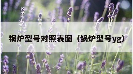 锅炉型号对照表图（锅炉型号yg）