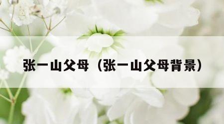 张一山父母（张一山父母背景）
