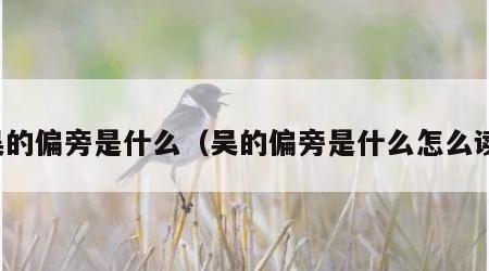 吴的偏旁是什么（吴的偏旁是什么怎么读）