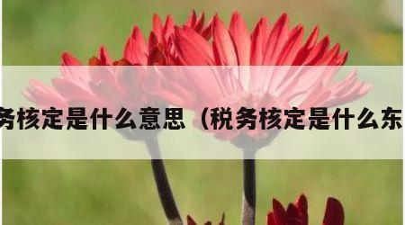 税务核定是什么意思（税务核定是什么东西）