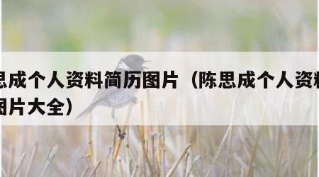 陈思成个人资料简历图片（陈思成个人资料简历图片大全）