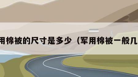 军用棉被的尺寸是多少（军用棉被一般几斤）