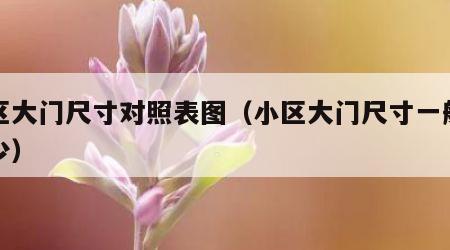 小区大门尺寸对照表图（小区大门尺寸一般是多少）