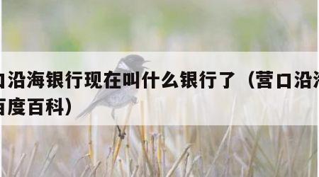 营口沿海银行现在叫什么银行了（营口沿海银行百度百科）